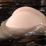 Thumbnail of new posts 200